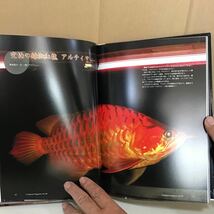 プラタパッド NO.48 2007.冬 ② 鳴美 特集 カプアス川 最上流の養魚場_画像9