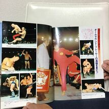 プロレスアルバム NO.12 ドリーファンクジュニア DORY FUNK 昭和56年7月1日発行 恒文社 ジャンボポスター付 PRO WRESTLING ALBUM NO.12 ①H_画像8