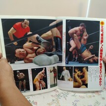 プロレスアルバム NO.14 ラストナンバー MEMORIAL WRESTLERS 昭和56年9月1日発行 恒文社 PRO WRESTLING ALBUM NO.14 ①む_画像3