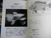 1▲ 　熱帯魚Ⅱ 卵胎生メダカ,ナマズ,カラシン,ハイギョ　白石光　/ カラーブックス844 平成5年,初版,紙カバー付_画像5