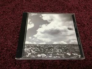 bump of chicken 花の名 cd CD シングル Single