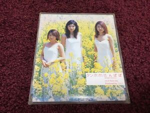 タンポポ たんぽぽ cd CD シングル Single
