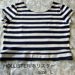 HOLLISTER／ホリスターＬサイズ★バックオープン ショート丈ボーダーＴシャツ