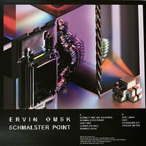 [ LP / レコード ] Ervin Omsk / Schmalster Point ( Experimental ) Orange Milk Records コラージュ エクスペリメンタル_画像2