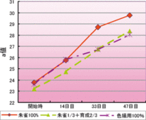 ★キョーリン　咲ひかり(浮上) 朱雀 M　特級色揚 500g 計売り★メール便　ポスト受取　錦鯉　金魚　熱帯魚　極上エサ_画像5