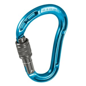 MAMMUT BIONIC HMS screw gate aqua【未使用・新品】マムート バイオニック HMS スクリューゲート カラビナ