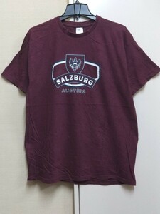 [送料無料](r20c1)XLザルツブルクsalzburgオーストリアusaアメリカ輸入古着半袖プリントTシャツオーバーサイズゆるだぼモーツァルト