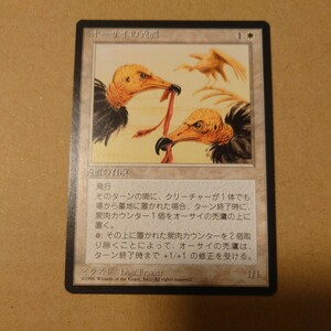 MTG マジック ザ ギャザリング オーサイの禿鷹 日本語 黒枠