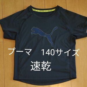 PUMA　 半袖Tシャツ　 プーマ　 CELL DRY　 プーマTシャツ　 DRY　 CELL　 ネイビー　 半袖　 Tシャツ　