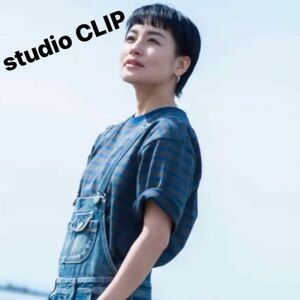 studio CLIP スタディオクリップ USAコットンスリットTシャツ　M