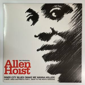 Allen Hoist - Inner City Blues (Makes Me Wanna Holler)