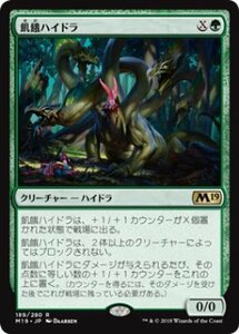 MTG　飢餓ハイドラ　在庫日1枚まで　M19　★他多数出品中