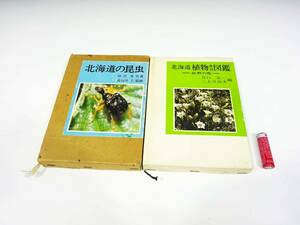 ◆(KN) 『北海道の昆虫』『北海道植物教材図鑑 続・野の花』2冊セット 書籍 本 児童書 古書 図鑑 絵本 昭和54年 北海道新聞社 昭和レトロ