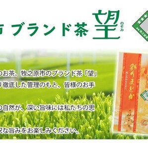 送料無料 望銀印 彩りまどか 100g×4袋セット  お茶 緑茶 煎茶 茶 茶葉 お茶葉 静岡 牧之原 国産 深蒸し 深むし 健康 健康茶 一番茶 新茶の画像2