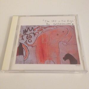 Graham Coxon / The Sky Is Too High 国内盤 歌詞対訳付 帯付 憂鬱 ギターロック Blur The Libertines The Verve