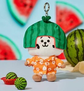 BT21 RJ Summer Lane Edition 韓国限定 Festa