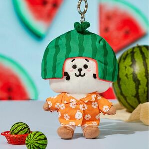 BT21 RJ Summer Lane Edition 韓国限定 Festa