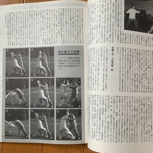 【中国武術】武藝 1997年秋号 バトルカンフー、八卦掌 太極拳 推手 白鶴拳の画像6