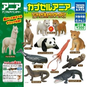 カプセルアニア にぎやか生きものワールド ！ 全10種 フィギュア コモドオオトカゲ ラッコ ジャイアントパンダ（子ども） カンガルー