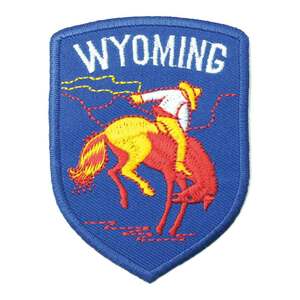 アイロンワッペン ロデオ エンブレム WYOMING 州 USA 紋章 マーク デザイン 簡単貼り付け アップリケ 刺繍 裁縫 