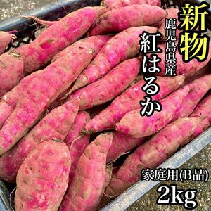 【新物】本場鹿児島県産 紅はるか 訳あり 2kg さつまいも b