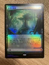 mtg 霧深い雨林　foil 日本語　エクスペディション・ボックストッパー_画像1