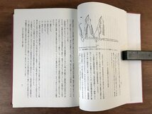 HH-6247 ■送料込■ 日本古代の祭祀と仏教 平成7年 神道 宗教 歴史 資料 佐伯有清先生古稀記念会 吉川弘文館 本 古本 古書 書籍 /くJYら_画像5