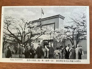 FF-5655 ■送料込■ 東京都 大礼記念国産振興東京博覧会 上野公園 昭和3年 女性 人 桜 建物 着物 風景 戦前 絵葉書 写真 古写真/くNAら