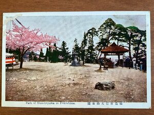 FF-5846 ■送料込■ 福島県 福島市 信夫山公園 桜 公園 花 人 灯篭 風景 景色 戦前 エンタイア 絵葉書 写真 古写真/くNAら