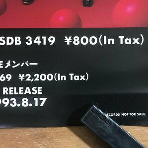 KK-6146 ■送料込■ 東京パフォーマンスドール TPD ガールスグループ アイドルグループ ポスター 印刷物 レトロ アンティーク /くMAらの画像4