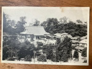 FF-6453 ■送料込■ 東京都 萬年山 青松寺 戦前 神社 寺 宗教 建物 建築物 庭 お坊 僧 人 風景 景色 絵葉書 エンタイア 写真 古写真/くNAら