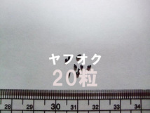 ホロウチヤマ ミヤマオダマキ 種子 20粒 (北海道幌内山産) 山野草_画像2