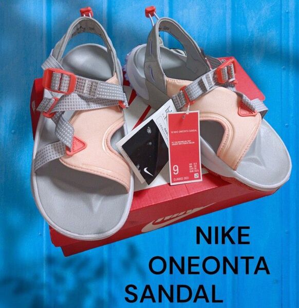 新品タグ付き 箱ありNIKE WMNS ONEONTA "FLAT SILVER MELON TINT
