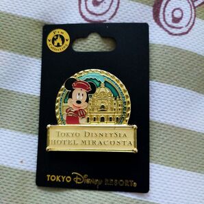 東京ディズニーリゾートバッチ