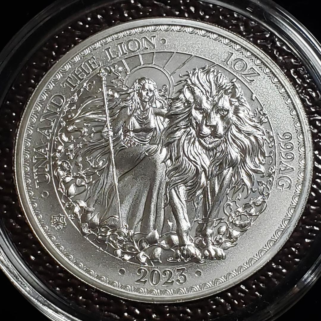 ヤフオク! -「ウナ ライオン 銀貨」(硬貨) (貨幣)の落札相場・落札価格