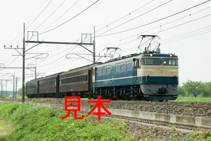 鉄道写真データ（JPEG）、00161508、EF65-501＋旧客回送、JR東北本線、東大宮〜蓮田、2013.08.29、（6623×4420）