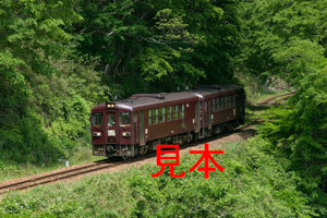 鉄道写真データ（JPEG）、00305772、わ89形-315（わたらせ3ヘッドマーク）、わたらせ渓谷鐵道、神戸〜小中、2014.05.22、（7098×4737）