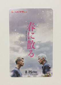 送料63円～★極美品★横浜流星【映画『春に散る』使用済みムビチケカード 前売券】横浜流星 佐藤浩市 橋本環奈 トレカ 大河ドラマべらぼう