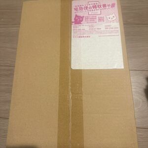 YU NAGABA × ポケモンカードゲーム イーブイズ スペシャルBOX プロモ 付き　ポケモンセンター当選品　未開封