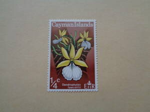 ケイマン諸島切手　1971年　西インド諸島の野生の蘭シリーズ　Dendrophylax fawcettii　デンドロフィラックス・フォーセッティ　1/4c