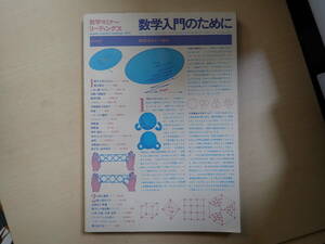 C4CΦ 昭和50年発行【数学入門のために】数学セミナー リーディングス 日本評論社 数学セミナー増刊