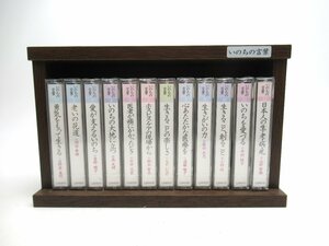 A537* unused unopened You can .. .. words no. 1 volume ~ no. 12 volume the whole storage box attaching cassette mountain .. male Shibata height .. wistaria sequence ...... etc. 