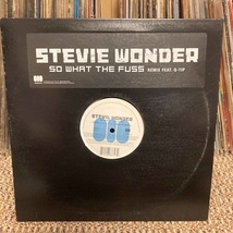 STEVIE WONDER / SO WHAT THE FUSS_画像1