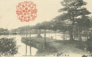 京都 長岡公園 流松★明治大正時代★戦前古絵葉書★n337