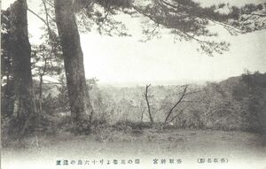 千葉 香取神宮 桜の馬場より十六島の遠望★戦前古絵葉書★n2253