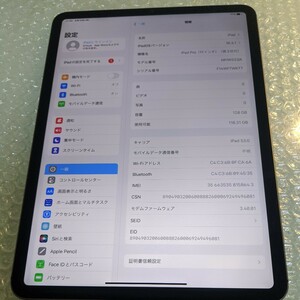 美品 simフリー 第3世代 ipad pro 11インチ 128gb cellular グレー 2021 春 apple セルラー docomo softbank au wifi