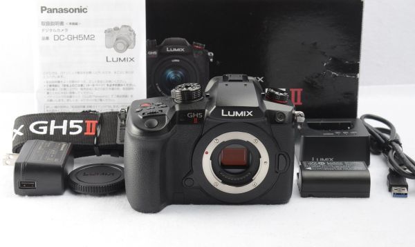 2023年最新】ヤフオク! -パナソニック gh5の中古品・新品・未使用品一覧