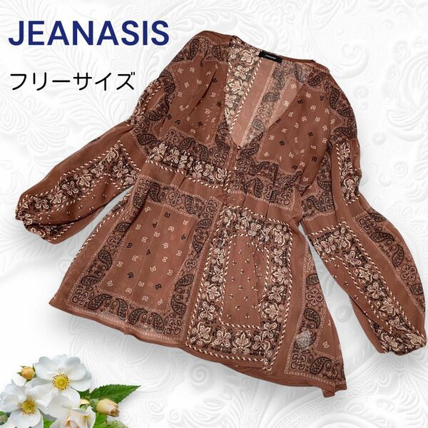 【ほぼ新品】JEANASIS ジーナシス シースルー ブラウス チュニック ペーズリー 茶