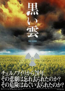 映画チラシ 洋ミ 2006 みえない雲 (黒い雲) ■ グレゴール・シュニッツラー | パウラ・カレンベルク