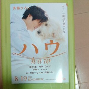 ハウ （朝日文庫　さ５４－１） 斉藤ひろし／著